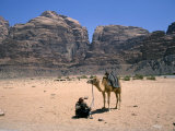 Camel, Wadi Rum, Jordan, Middle East