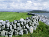 Buy Dry Stone Wall, County Clare, Munster, Eire (Republic of Ireland) at AllPosters.com