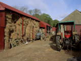 Buy A Farm, Near Avoca, County Wicklow, Leinster, Eire (Republic of Ireland) at AllPosters.com