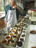 Buy Ravi Kidwai, Tea Specialist, Tasting and Assessing Tea, Kolkata at AllPosters.com