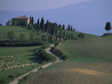 House and Cypress Trees, Val d'Orcia, Siena Provice, Tuscany, Italy