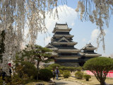 Cherry Blossoms, Matsumoto Castle, Matsumoto City, Nagano Prefecture, Honshu Island, Japan