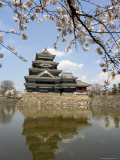 Cherry Blossoms, Matsumoto Castle, Matsumoto City, Nagano Prefecture, Honshu Island, Japan,Asia