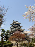 Cherry Blossoms, Matsumoto Castle, Matsumoto City, Nagano Prefecture, Honshu Island, Japan,Asia