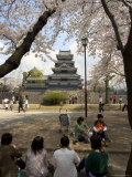 Cherry Blossom Viewing, Matsumoto Castle, Matsumoto City, Nagano Prefecture, Honshu Island, Japan