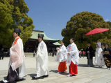 Buy Traditional Wedding Ceremony, Meiji Jingu Shrine, Tokyo City, Honshu Island, Japan at AllPosters.com