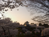 Buy Sunset, Cherry Blossom, Kanazawa Castle, Kanazawa City, Ishigawa Prefecture, Honshu Island, Japan at AllPosters.com