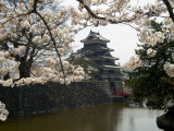 Cherry Blossoms, Matsumoto Castle, Matsumoto City, Nagano Prefecture, Honshu Island, Japan