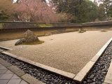 Ryoanji Temple, Dry Stone Garden and Blossom, Kyoto City, Honshu Island, Japan