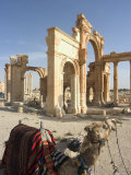 Tourist Camel Ride, Monumental Arch, Archaelogical Ruins, UNESCO World Heritage Site, Syria