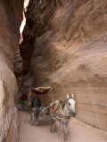 Horse and Cart Ride Through the Siq, Petra, Wadi Musa (Mousa), Jordan, Middle East