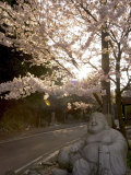 Buddha Statue, Ishiteji Temple, Ehime Prefecture, Japan