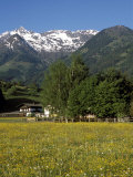 Buy Landscape of Snow Capped Peaks Above Flower Covered Valley, Salzburgland, Austria at AllPosters.com