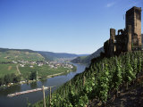 Gravenburg Castle, River Mosel, Rhineland Palatinate, Germany