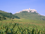Buy Largest Ruined Castle in Slovakia, Spis Castle, Unesco World Heritage Site, Presov Region at AllPosters.com