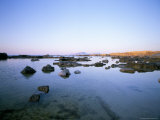 Buy Favignana Island, Egadi Islands, Sicily, Italy, Mediterranean at AllPosters.com