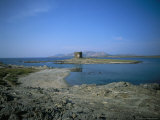 View of Asinara Island, Alghero Stintino, Sardinia, Italy