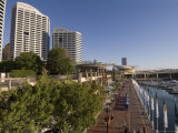 Darling Harbour, Sydney, New South Wales, Australia