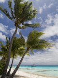 Fakarawa, Tuamotu Archipelago, French Polynesia Islands