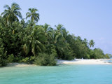Asdu Island, North Male Atoll, Maldives, Indian Ocean