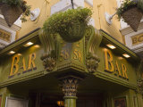 The Oliver St. John Gogarty Pub, Temple Bar, Dublin, County Dublin, Republic of Ireland (Eire)