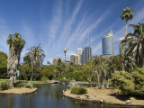 Royal Botanic Gardens, Sydney, New South Wales, Australia