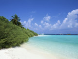 Asdu Island, North Male Atoll, Maldives, Indian Ocean