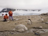 Tourists Looking at Gentoo Penguins, Neko Harbor, Gerlache Strait, Antarctic Peninsula