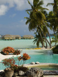 Buy Pearl Beach Resort, Bora-Bora, Leeward Group, Society Islands, French Polynesia at AllPosters.com