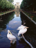 Wilhelma Zoo and Botanical Gardens, Stuttgart, Baden Wurttemberg, Germany