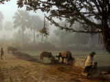 Buy Village Scene, Vaishali, India at AllPosters.com