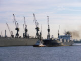 Cranes, Port of Hamburg, Hamburg, Germany