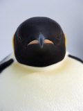 Emperor Penguin (Aptenodytes Forsteri), Snow Hill Island, Weddell Sea, Antarctica, Polar Regions