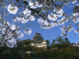 Spring Blossom and Himeji Castle, Built in 1580, Himeji, West Honshu, Japan