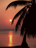 Buy Sunset Seen from the Resort of West End on Roatan, Largest of the Bay Islands, Honduras, Caribbean at AllPosters.com