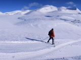 Buy Track from Smuksjoseter Towards Peer Gynt-Hytta and Mount Smiubelgen, Oppland, Scandinavia at AllPosters.com