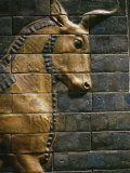 Babylonian Wall Tiles, Babylon, Iraq, Middle East