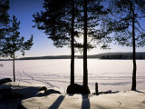 Buy Lake Maridal (Maridalsvannet), Oslo's Reservoir, Oslo, Norway, Scandinavia at AllPosters.com