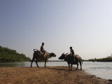 Two Boys on Water Buffalo Beside the Mekong River, Near Kratie, Eastern Cambodia, Indochina