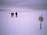 Buy Ring-Tour Hovringen-Dovrehytta, Gudbrandsdal, Norway, Scandinavia at AllPosters.com