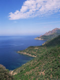 Golfe De Galeria, Corsica, France, Mediterranean