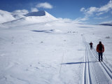 Buy The Track Towards Peer Gynthytta, Below Mount Smiubelgen, Rondane National Park, Norway at AllPosters.com