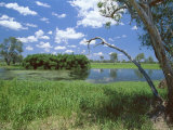 Buy The Yellow Water Wetlands on Floodplain of the Alligator River, Kakadu National Park, Australia at AllPosters.com