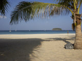Buy Palm Tree in Front, Kata Beach, Phuket, Thailand, Southeast Asia at AllPosters.com