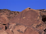 San Rock Art, Twyfelfontein, Damaraland, Namibia, Africa