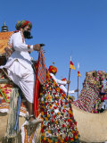 Camel Adorned with Colourful Tassel and Bridles, with Camelier, Bikaner Desert Festival, India