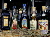 Mayan Herbs