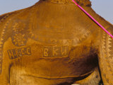 Detail of Camel Tattoos, Bikaner Desert Festival, Rajasthan State, India