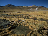 Buy El Tatio Geyser, Atacama, Chile, South America at AllPosters.com