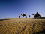 Caravan of People and Camels in the Thar Desert, Rajasthan State, India